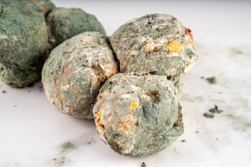 The picture of a moldy waste bread. Rotten and uneatable. Green mildew on a stale bread. Surface of moldy bread. Moldy fungus on rotten bread.