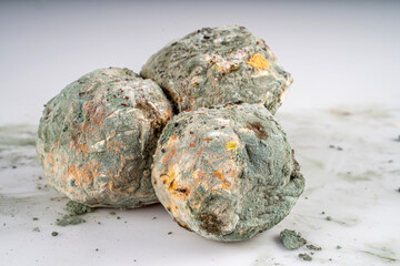 The picture of a moldy waste bread. Rotten and uneatable. Green mildew on a stale bread. Surface of moldy bread. Moldy fungus on rotten bread.