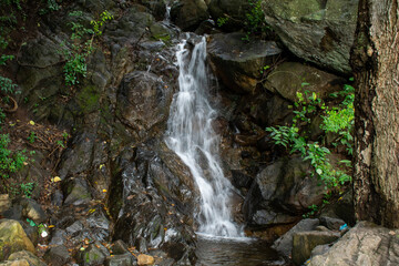 waterfall in the forest