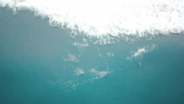 surfiest in the water drone view