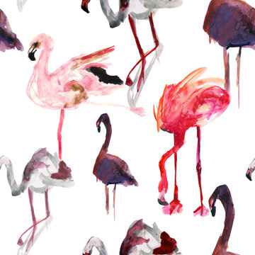 watercolour hand painted flamingos in water, seamless pattern