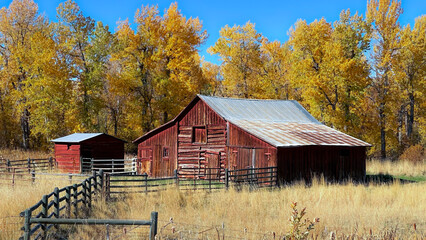 Red barn in fall