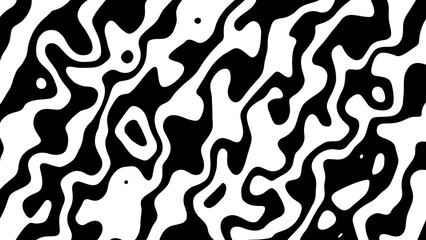 black and white pattern of zebra