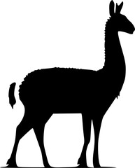 Llama - High Quality Vector Logo - Vector illustration ideal for T-shirt graphic