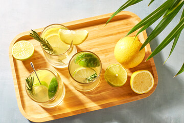 Refreshing soft drinks with fresh lemon and lime slices, garnished with a sprig of rosemary. Summer alcoholic cocktails. Water with lemon