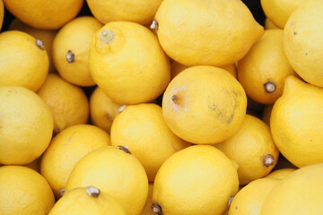 stack of lemons display for sale 