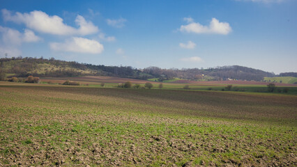 Feld am Thüringer Mühlenradweg bei Löberschütz, Thüringen, Deutschland 