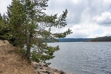 Spring view of Golyam Beglik Reservoir, Bulgaria