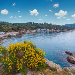 Summer morning sea coast landscape and blossoming bush with yellow flowers in front (near Palamos, Costa Brava, Spain).