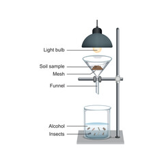 Scientific Designing of Berlese Funnel Experiment. Vector Illustration.