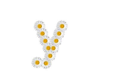 floral alphabet letter a, upper case letter i, lowercase i, small letter i., minuscule i., upper letter i., uppercase i. cap i.