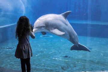 Bambini felici giocano con i delfini durante una visita all' Acquario di Genova, Liguria, Italia,...