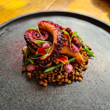 grilled octopus, lentuce and purple corn foam with panka chili pepper sprinkled in a gourmet restaurant, Lima Peru
