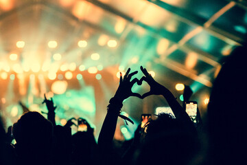 crowd at concert - summer music festival