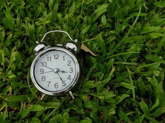 Antique silver alarm clock on green grass background.