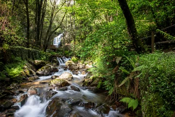  Waterfall in the forest. Cascata da Cabreia, Portugal, Europe © Ana