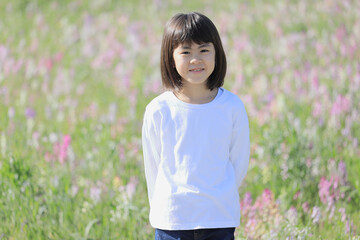 姫金魚草の花畑の中の女子小学生 (8歳)