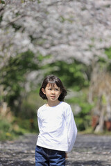 女子小学生 (8歳)と桜