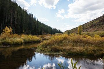 Fototapeta premium River weaving through a pine forest