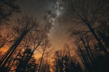 Naklejka premium serene forest at night with a clear sky full of stars. Generative AI