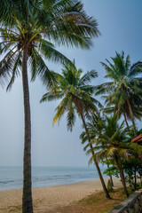 Fototapeta na wymiar Beautiful beach and sea view with coconut trees.