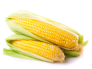 An ear of corn is on a white background.