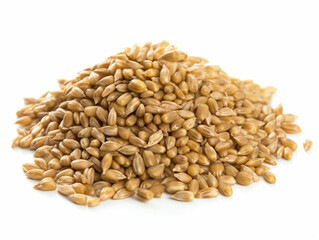 grain isolated on white background