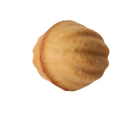 Delicious nut shaped cookie with condensed milk isolated on white