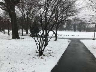 snow covered road