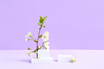 Decorative podiums and blooming branch on lilac background