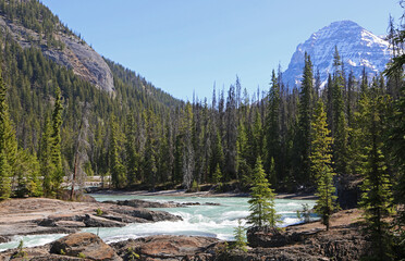 Mt Stephen and Kicking Horse River - Kootenay National Park, Canada