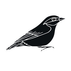 Vector hand drawn doodle sketch black nuthatch bird isolated on white background