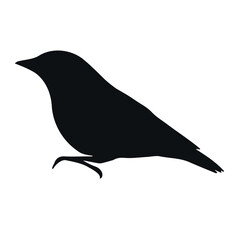 Vector hand drawn nuthatch bird silhouette isolated on white background