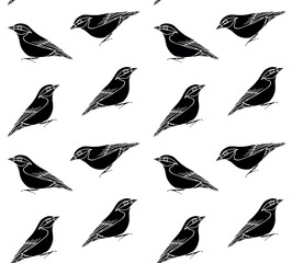 Vector seamless pattern of hand drawn doodle sketch black nuthatch bird isolated on white background