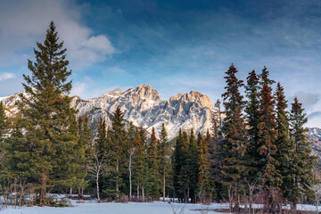 Rocky mountains with pine forest in winter park