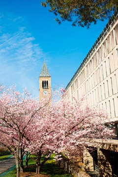 ITHACA, NY - April 14, 2023: Cornell University  in spring time