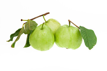Guavas on white background