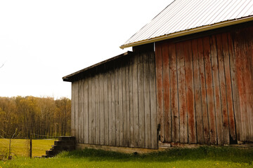 Obraz premium Green Springtime vacation forest area in America