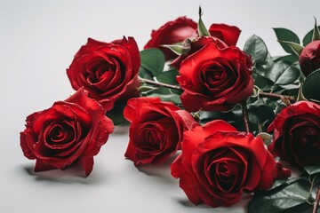 Red roses on a white background. Generative AI