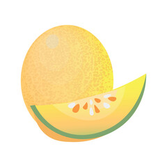 Ripe melon on white background