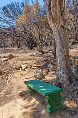 Green bench in a park. Photo of a public bench in the woods. A vintage seat in a dry and arid...