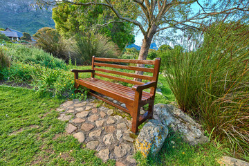 A wooden bench on a pathway in a public park. A quiet place to enjoy nature and the peace it has to offer. Find tranquility amongst the green trees and other natural fauna. Mother nature is beautiful