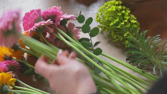 Florist arranging a bouquet of gerbera transvaal daisies over shoulder view in slow motion 4K