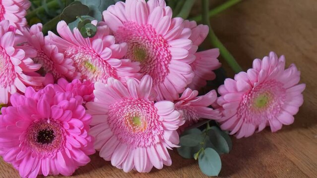 Flower arrangement of pink gerbera transvaal daisies close up slow motion 4K