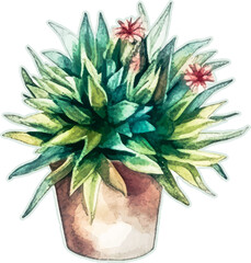 Cactus watercolor, cacti plant hand drawn