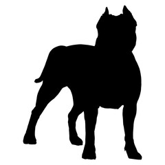 Pitbull American Bully Silhouette 