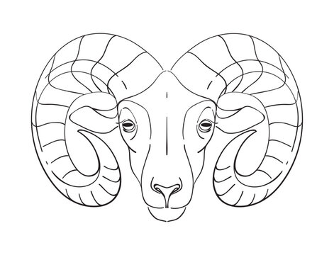 Aries zodiac sign, line drawing by hand, symbol for astrology, ram head icon for farm. Simple vector sign, illustration isolated on white.