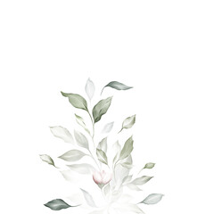 Watercolor painting with plant elements on a white background in modern style.