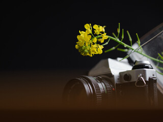film camera and yellow flower