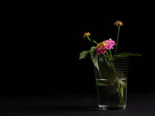 beautiful flower in a glass